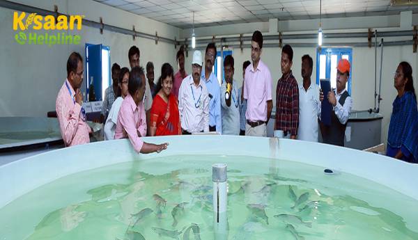 केरल सरकार के साथ आईसीएआर-सीआईबीए भागीदार पर्लस्पॉट, सीबेस और मिल्कफिश की बहु-प्रजाति की मछली हैचरी स्थापित करेगी